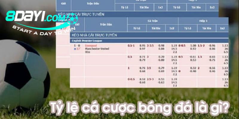 8DAY_Tỷ Lệ Cá Cược Thể Thao Tại Nhà Cái Này Là Bao Nhiêu? 8DAY_Tỷ Lệ Cá Cược Thể Thao Tại Nhà Cái Này Là Bao Nhiêu?